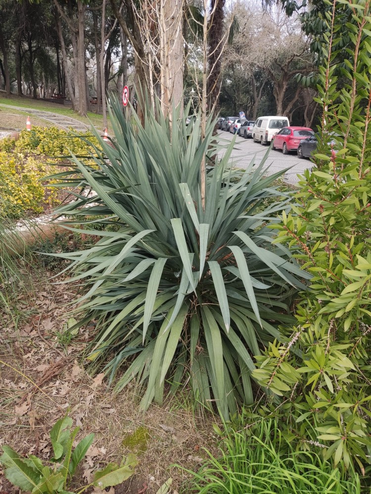 WhatsApp Image 2026-03-06 at 22.40.55 (1).jpeg