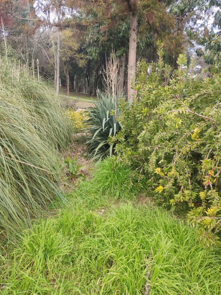 WhatsApp Image 2026-03-06 at 22.40.55 (2).jpeg