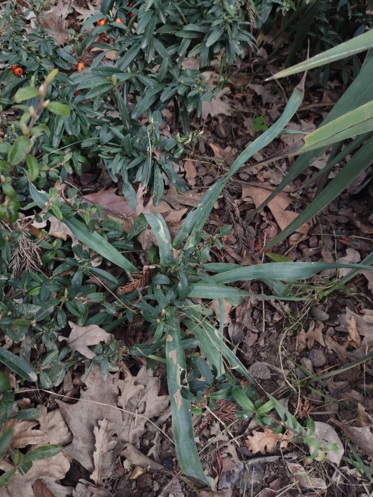 WhatsApp Image 2026-03-06 at 22.40.56.jpeg