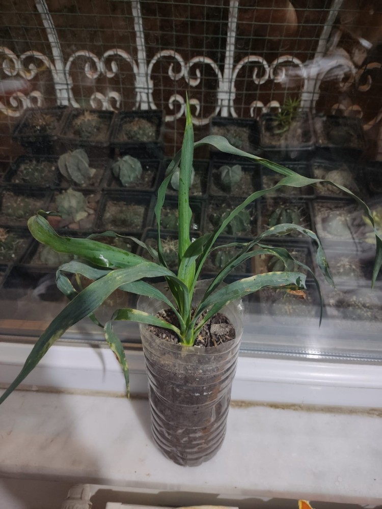 WhatsApp Image 2026-03-06 at 22.40.48 (1).jpeg