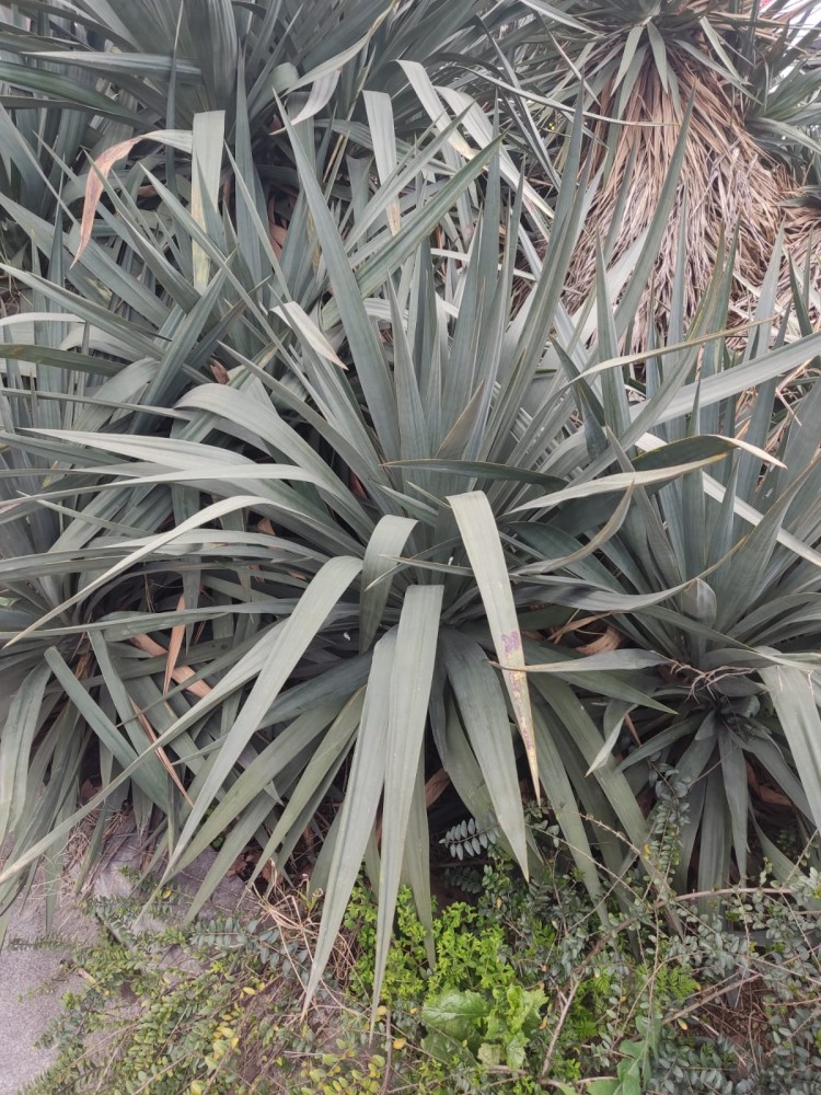 WhatsApp Image 2026-03-06 at 22.40.54 (1).jpeg