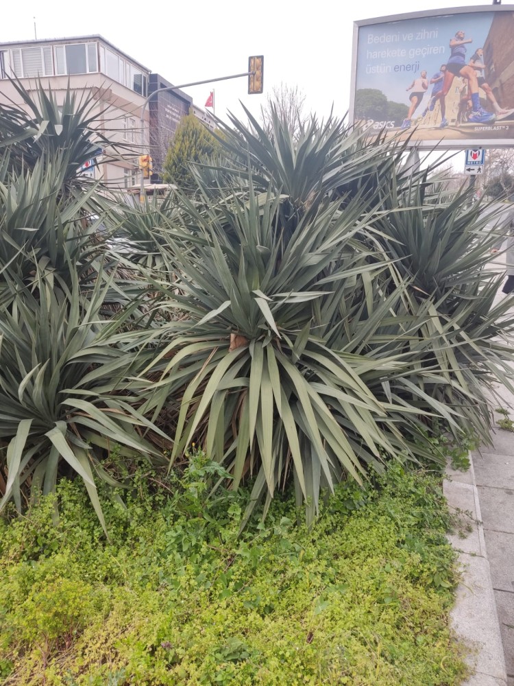 WhatsApp Image 2026-03-06 at 22.40.54 (2).jpeg