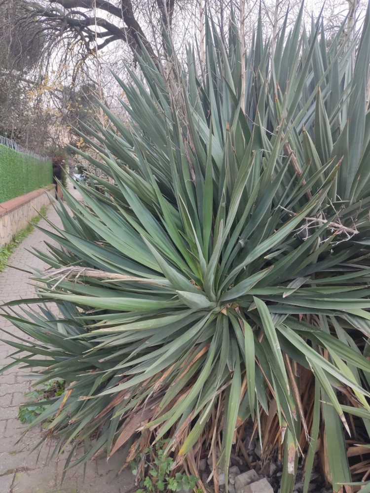 WhatsApp Image 2026-03-06 at 22.40.52.jpeg