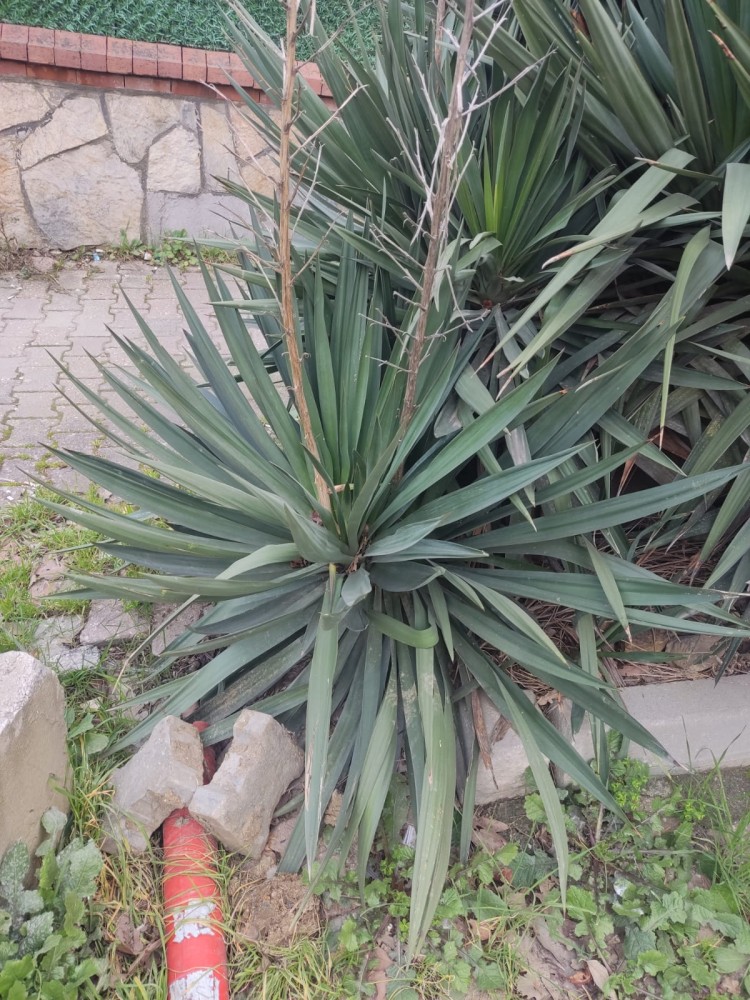 WhatsApp Image 2026-03-06 at 22.40.53.jpeg