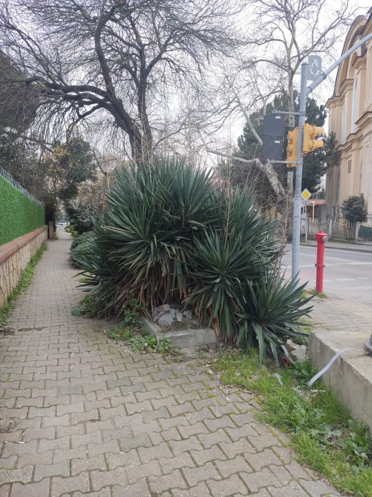 WhatsApp Image 2026-03-06 at 22.40.52 (1).jpeg