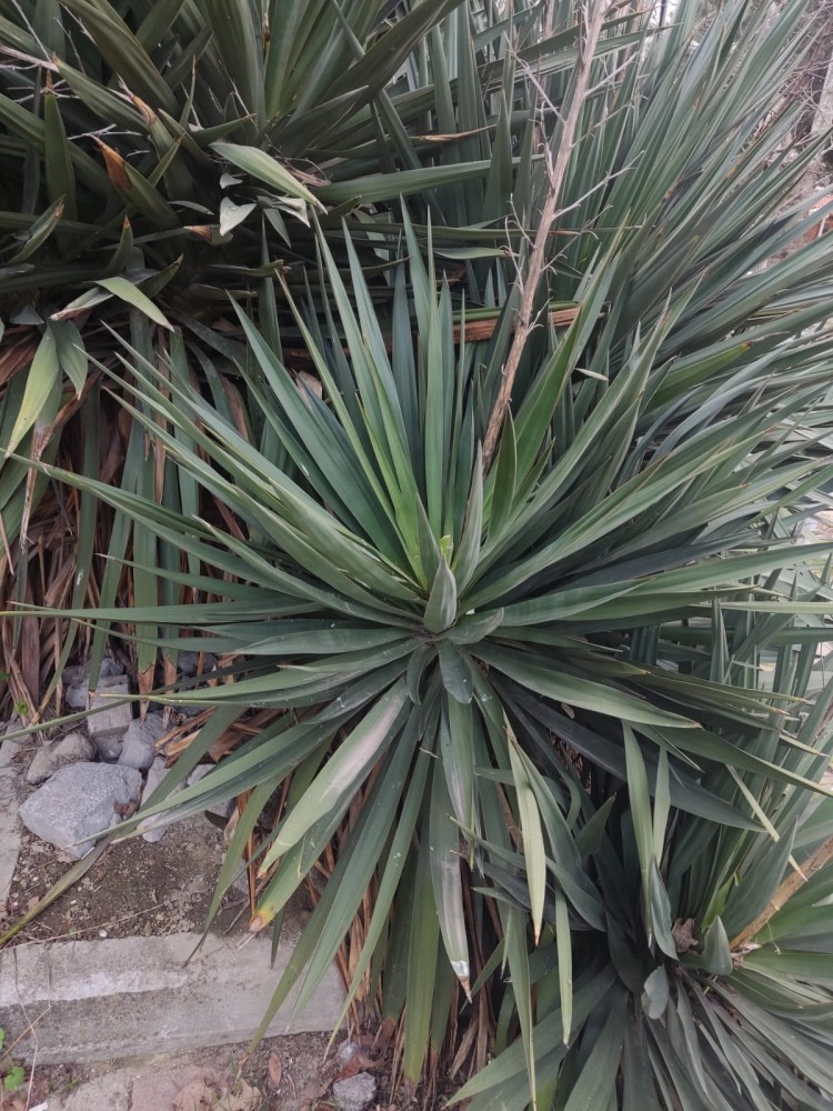 WhatsApp Image 2026-03-06 at 22.40.52 (2).jpeg