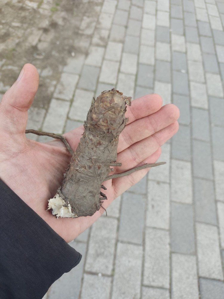 WhatsApp Image 2026-03-06 at 22.40.50 (3).jpeg