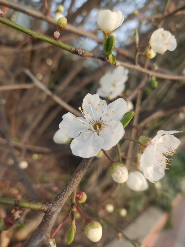 WhatsApp Image 2026-03-06 at 22.40.50 (1).jpeg