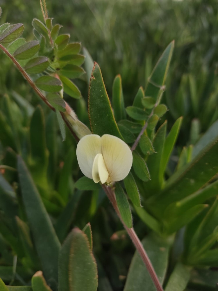 WhatsApp Image 2026-03-06 at 22.40.50.jpeg