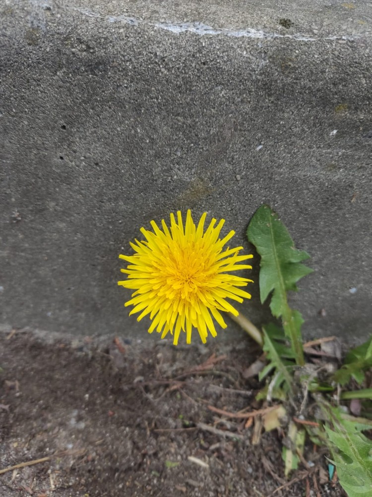 WhatsApp Image 2026-03-06 at 22.40.53 (1).jpeg