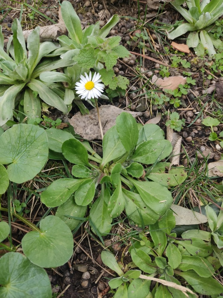 WhatsApp Image 2026-03-06 at 22.40.57 (1).jpeg