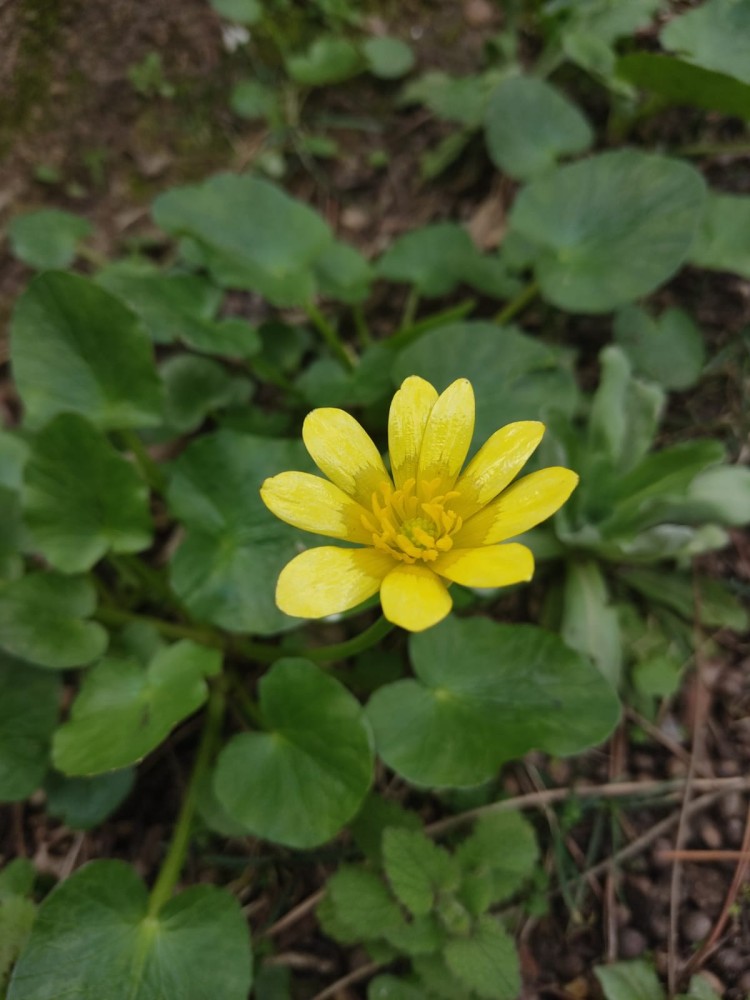 WhatsApp Image 2026-03-06 at 22.40.57 (2).jpeg