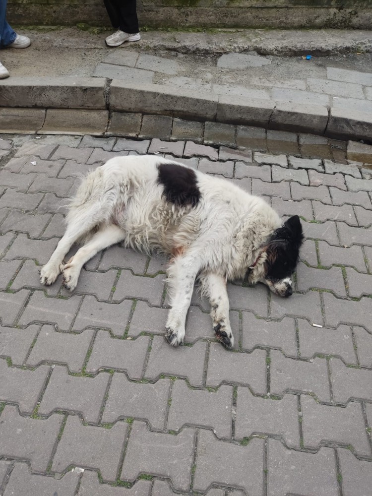 WhatsApp Image 2026-03-06 at 22.40.55.jpeg