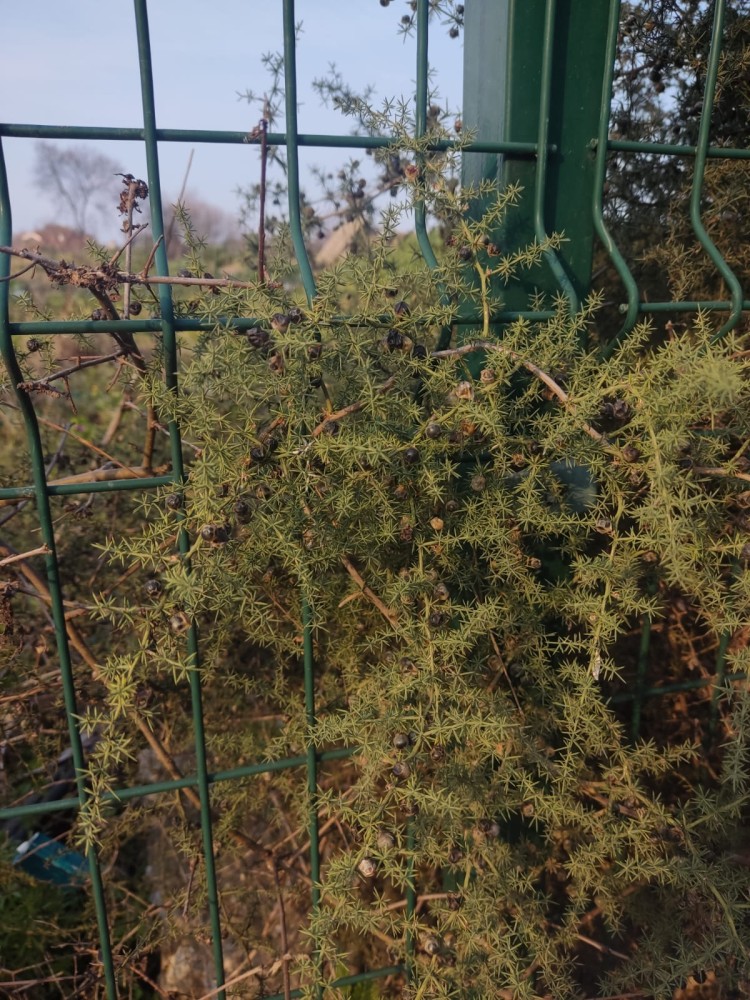 WhatsApp Image 2026-03-06 at 22.40.50 (2).jpeg