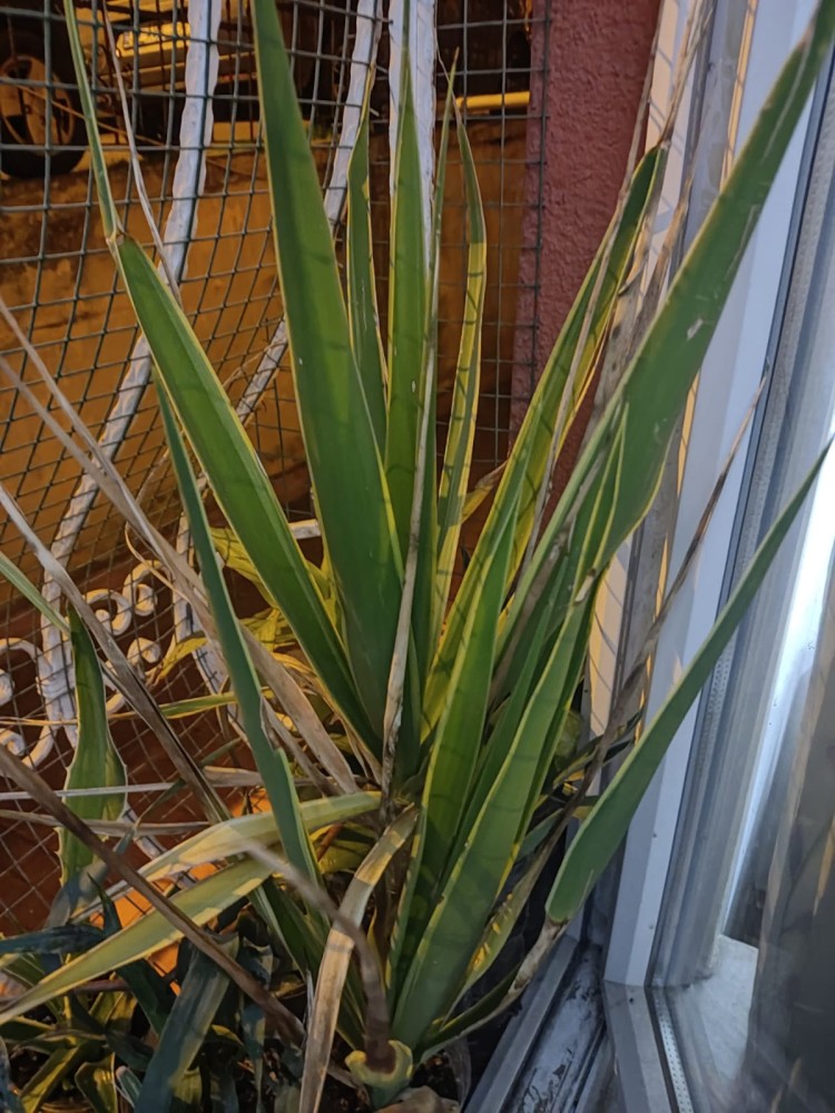 WhatsApp Image 2026-03-06 at 22.40.48.jpeg