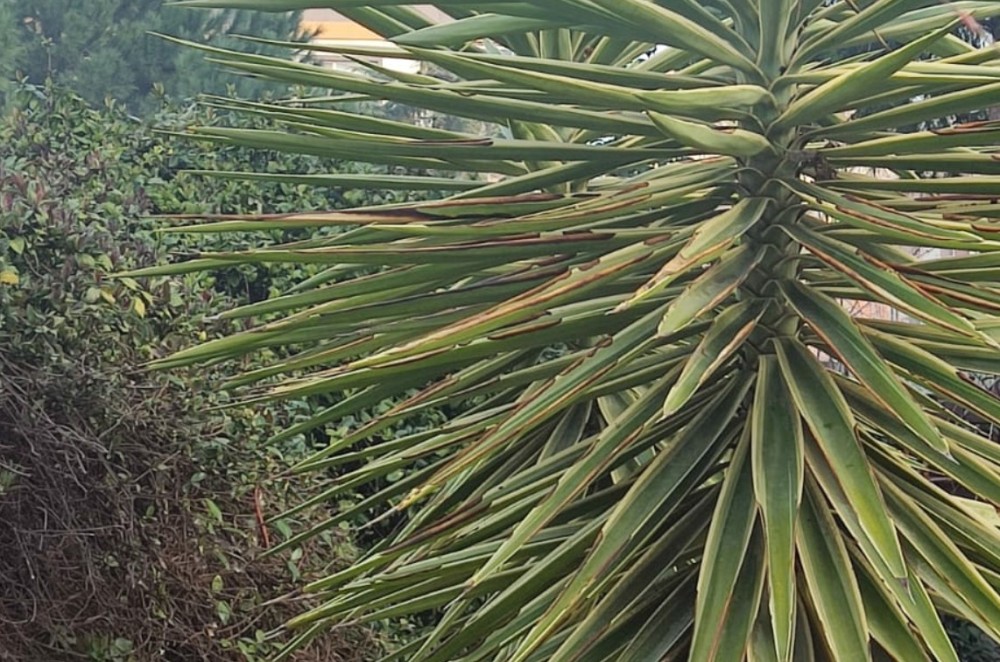 Captura de pantalla 2026-03-07 220833.jpg