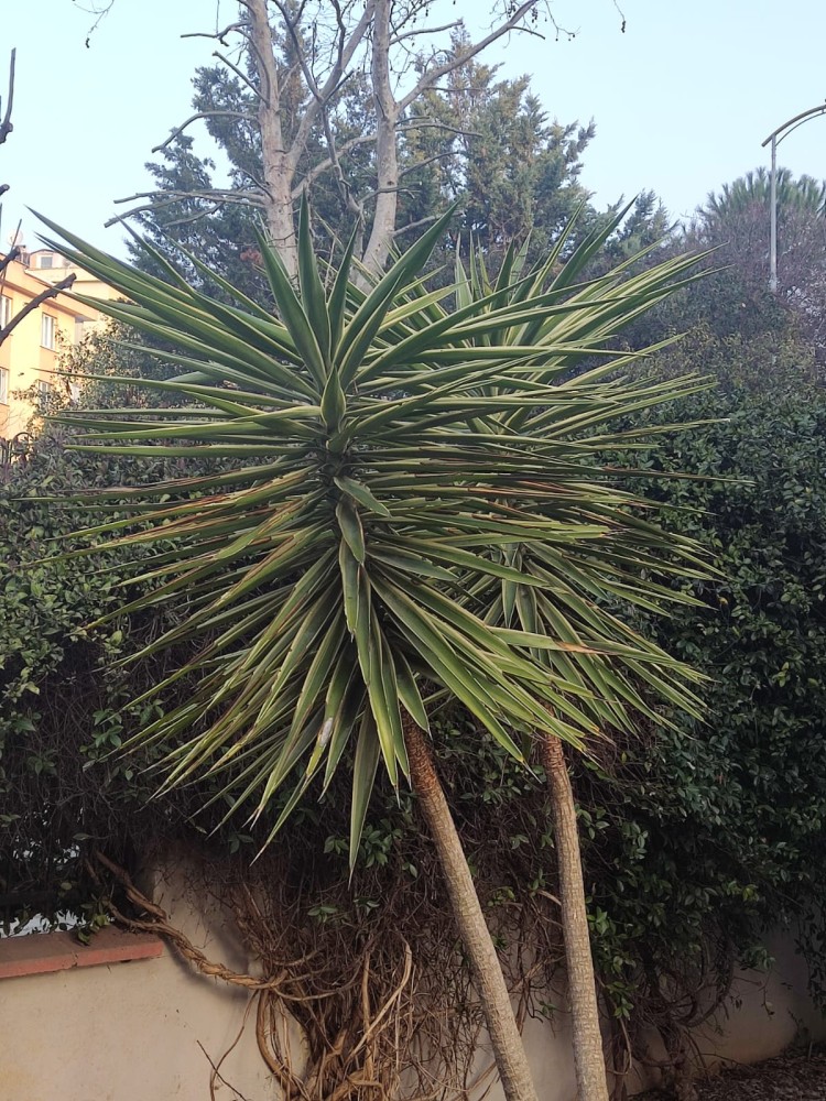 WhatsApp Image 2026-03-06 at 22.41.00.jpeg