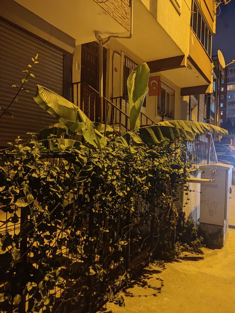 WhatsApp Image 2026-03-06 at 22.40.49.jpeg