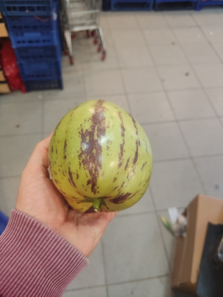 WhatsApp Image 2026-03-08 at 10.13.11.jpeg