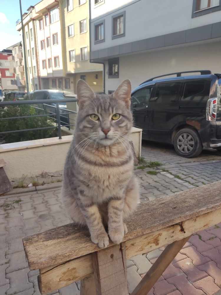 WhatsApp Image 2026-03-08 at 10.13.12 (1).jpeg