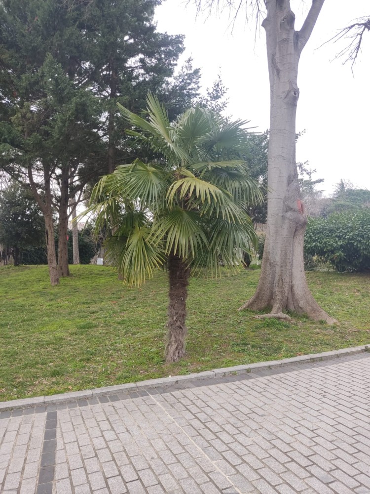 WhatsApp Image 2026-03-06 at 22.40.57.jpeg