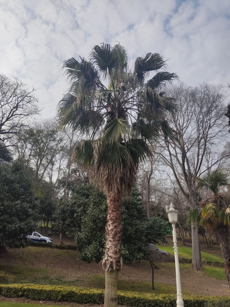 WhatsApp Image 2026-03-06 at 22.40.58.jpeg