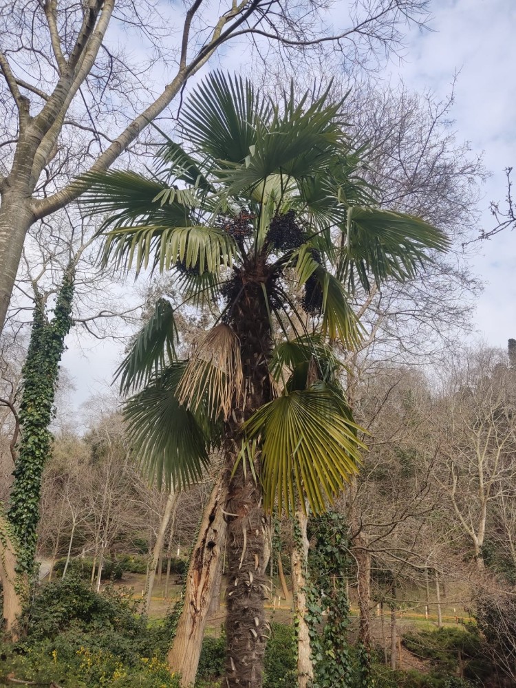 WhatsApp Image 2026-03-06 at 22.40.59.jpeg