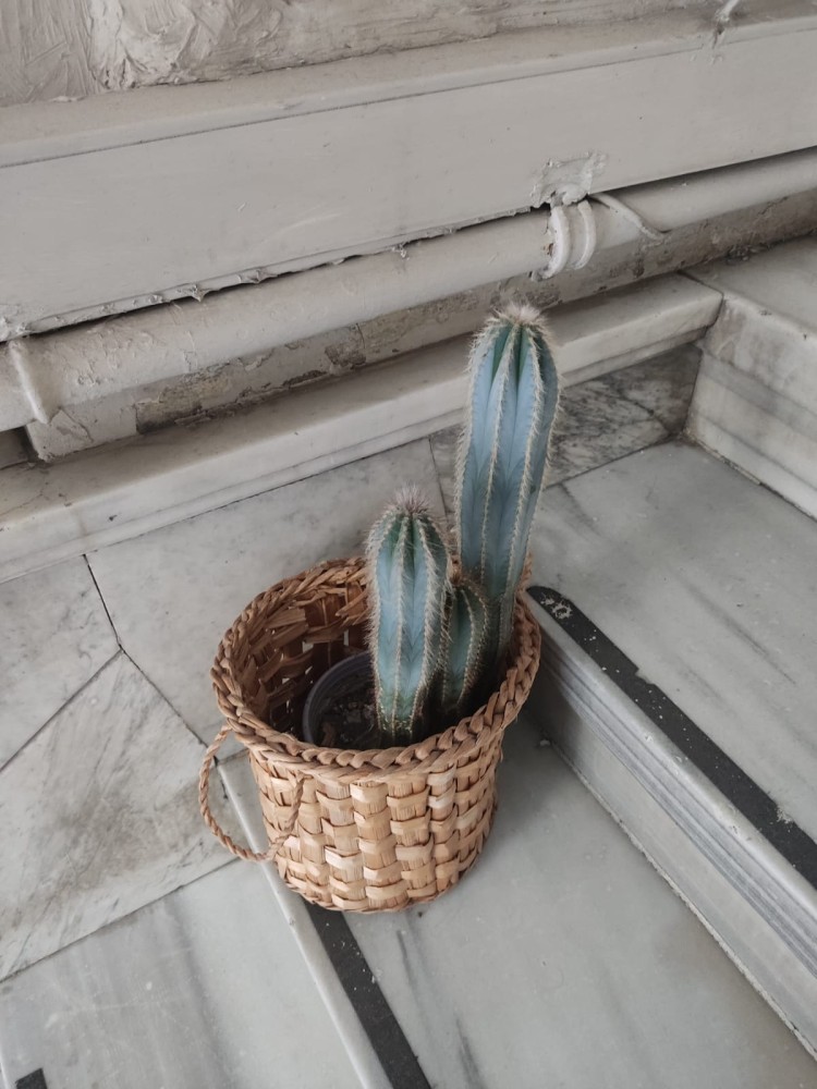 WhatsApp Image 2026-03-06 at 22.41.01 (2).jpeg