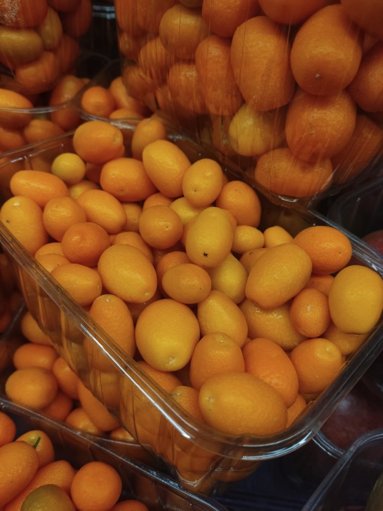 WhatsApp Image 2026-03-08 at 10.13.11 (2).jpeg