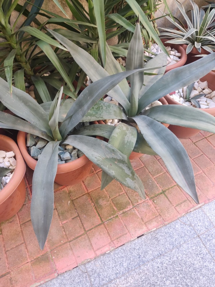 WhatsApp Image 2026-03-10 at 23.03.56 (1).jpeg