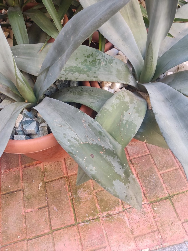 WhatsApp Image 2026-03-10 at 23.03.56.jpeg