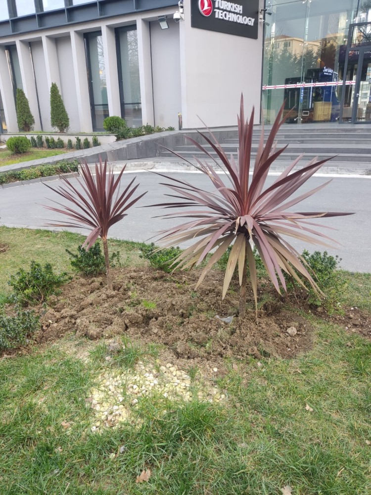 WhatsApp Image 2026-03-06 at 22.40.49 (1).jpeg