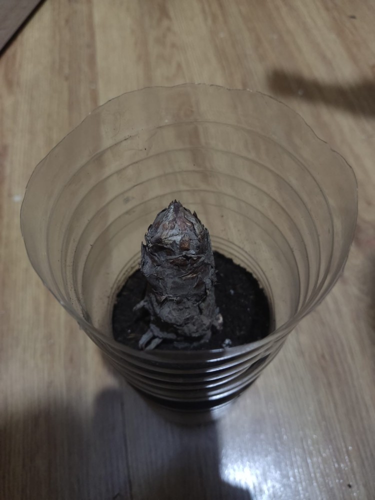 WhatsApp Image 2026-03-10 at 23.03.55 (1).jpeg