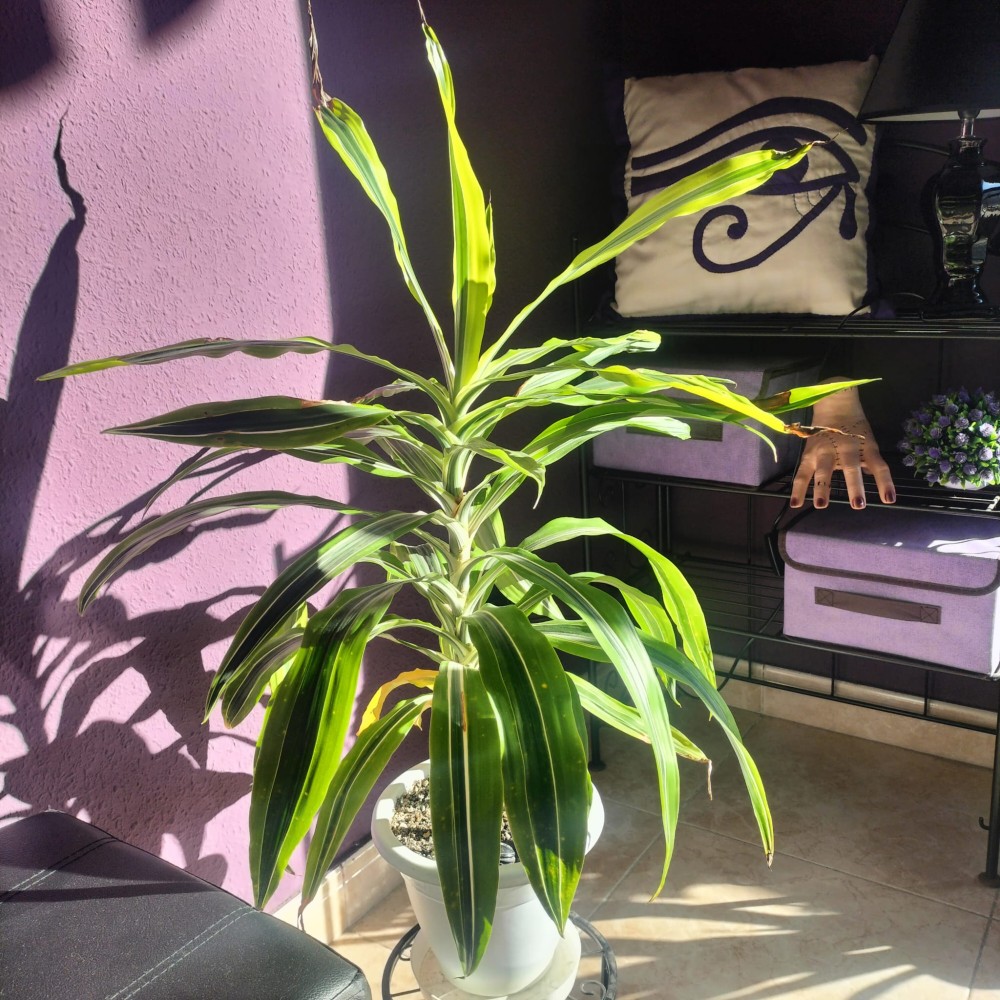 WhatsApp Image 2026-03-09 at 16.58.48.jpeg