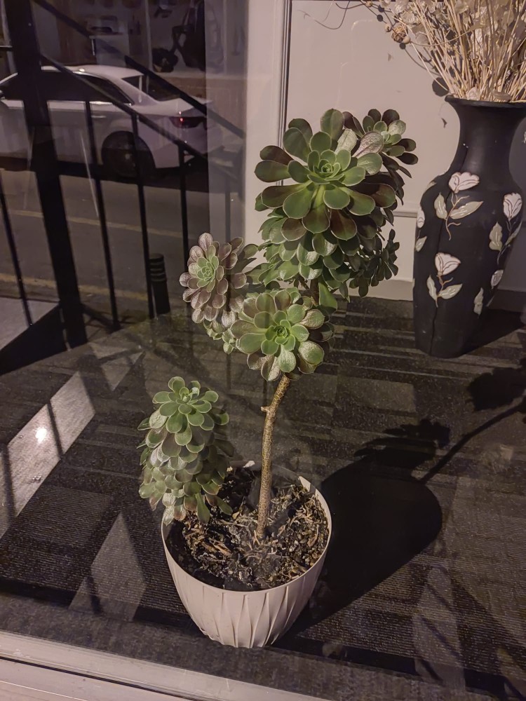 WhatsApp Image 2026-03-12 at 22.52.39.jpeg