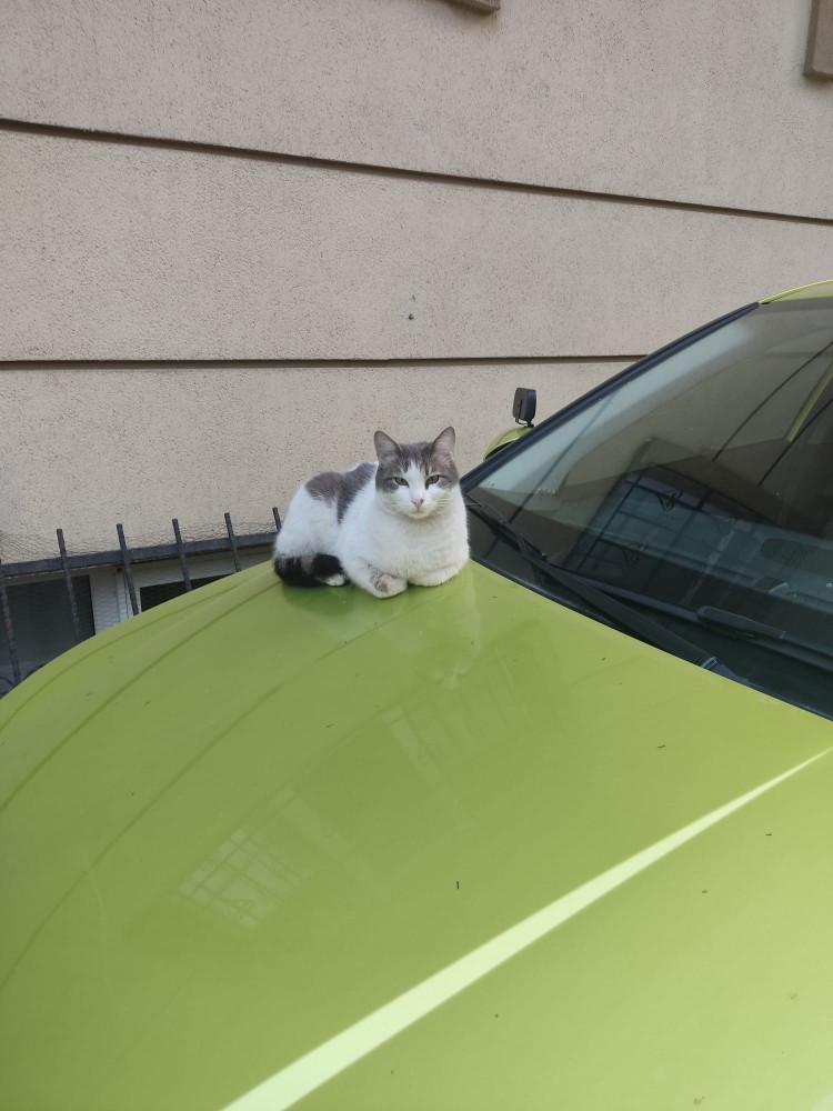 WhatsApp Image 2026-03-13 at 19.11.38 (1).jpeg