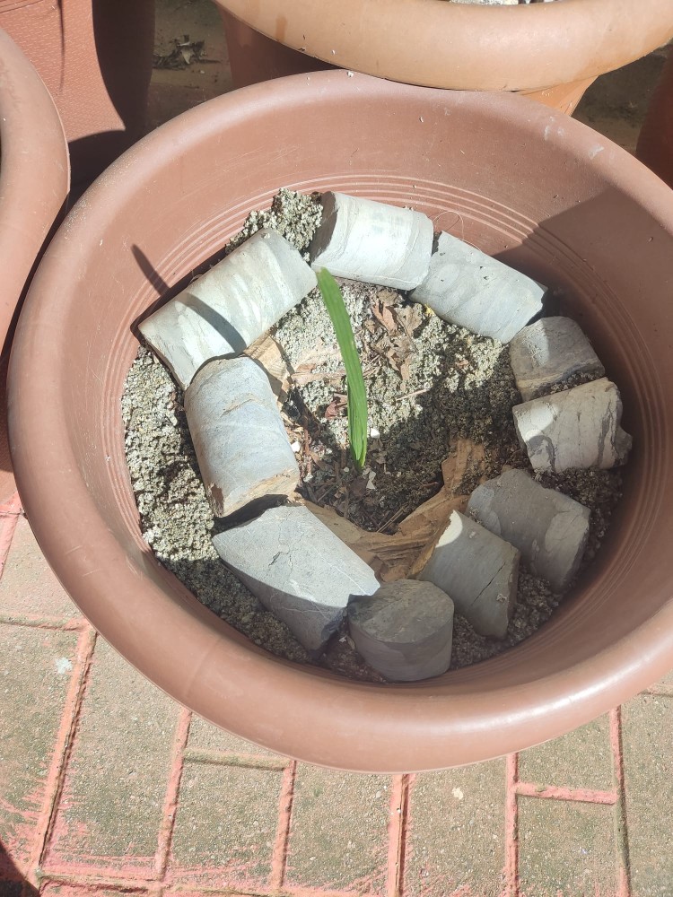 WhatsApp Image 2026-03-13 at 19.11.39.jpeg