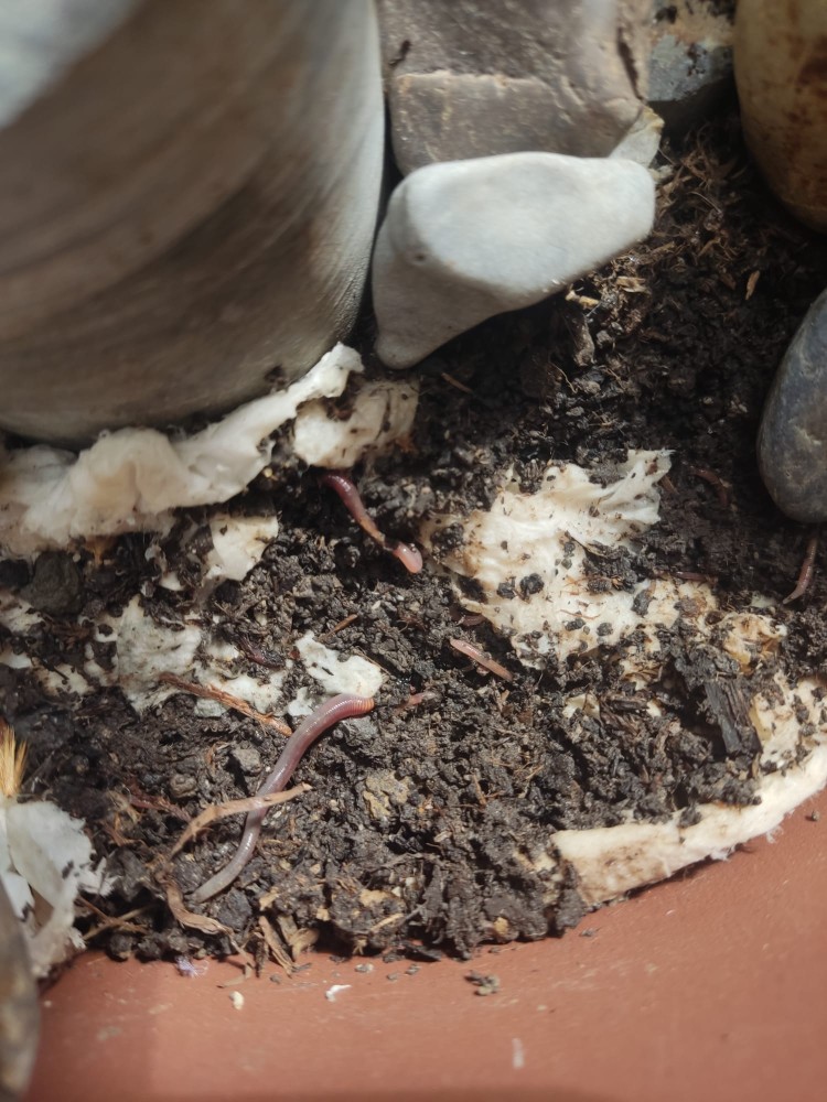 WhatsApp Image 2026-03-13 at 19.11.42 (2).jpeg