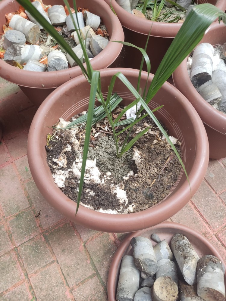 WhatsApp Image 2026-03-13 at 19.11.42 (1).jpeg