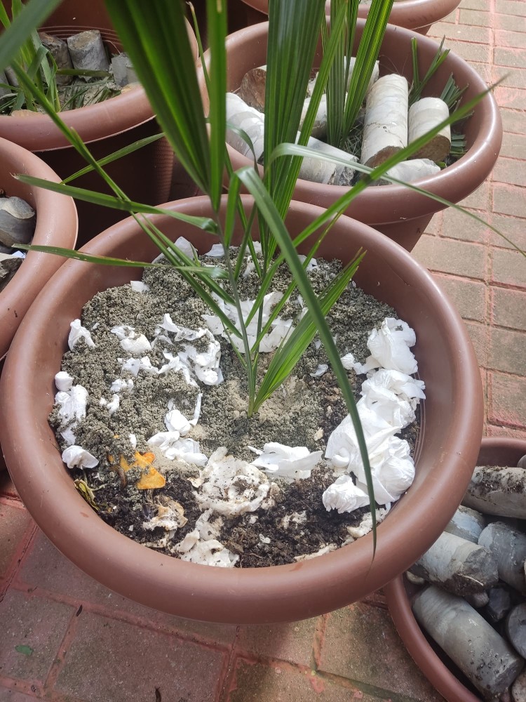 WhatsApp Image 2026-03-13 at 19.11.42.jpeg