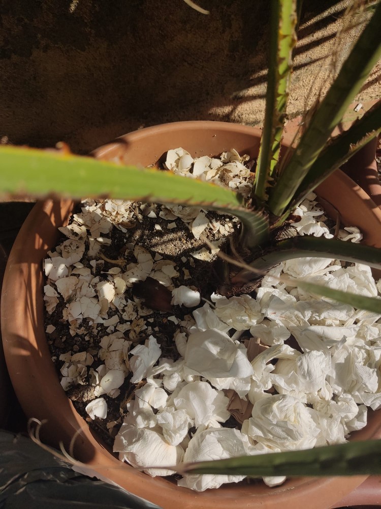 WhatsApp Image 2026-03-13 at 19.11.41.jpeg