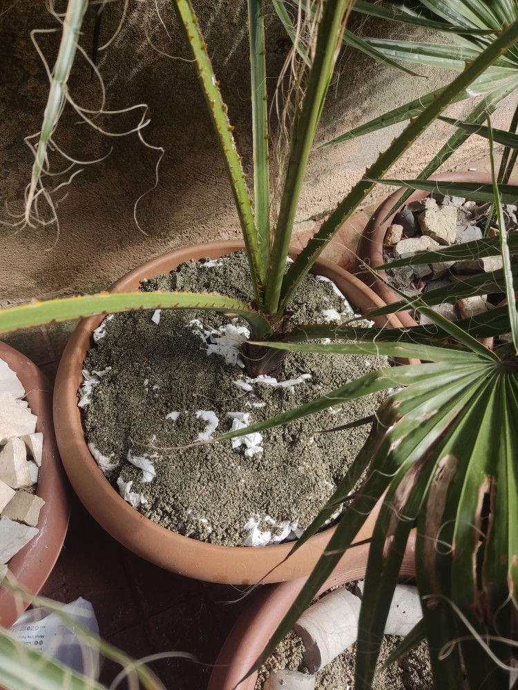 WhatsApp Image 2026-03-13 at 19.11.40 (2).jpeg