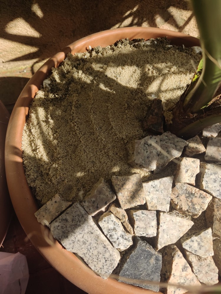 WhatsApp Image 2026-03-13 at 19.11.40 (1).jpeg