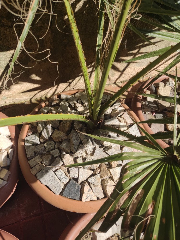 WhatsApp Image 2026-03-13 at 19.11.39 (2).jpeg