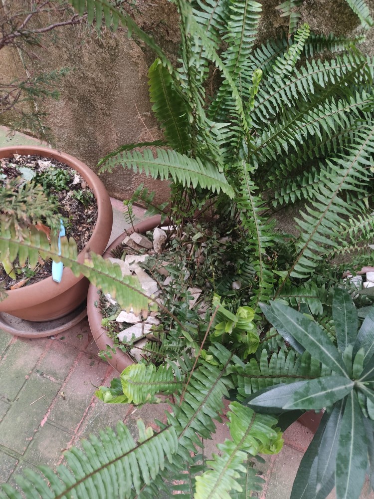 WhatsApp Image 2026-03-13 at 19.17.16 (2).jpeg