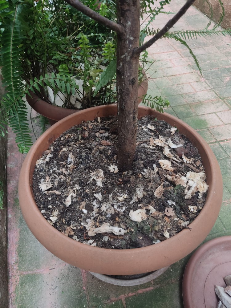 WhatsApp Image 2026-03-13 at 19.17.14.jpeg