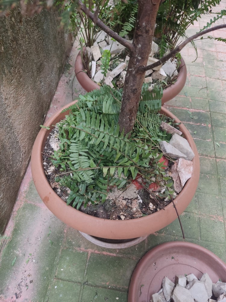 WhatsApp Image 2026-03-13 at 19.17.16 (1).jpeg