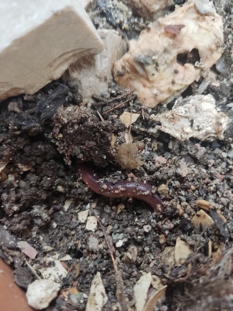 WhatsApp Image 2026-03-13 at 19.17.14 (1).jpeg