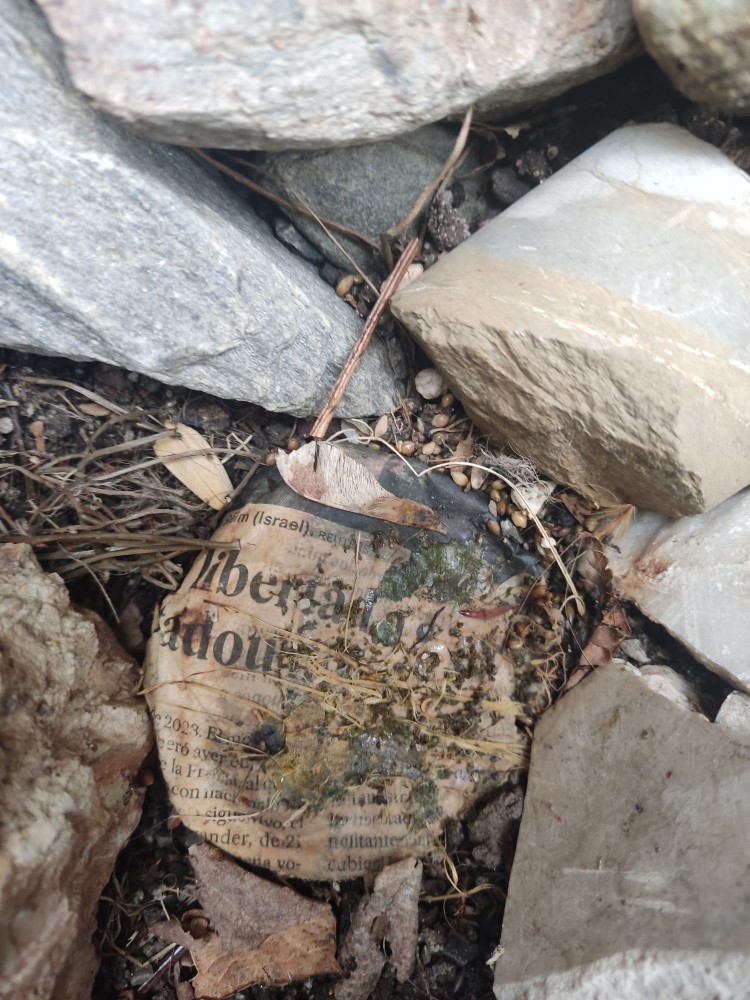 WhatsApp Image 2026-03-13 at 19.17.15 (2).jpeg