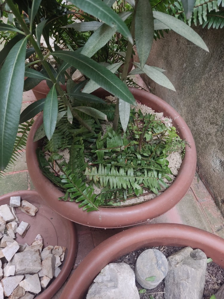 WhatsApp Image 2026-03-13 at 19.11.44 (2).jpeg